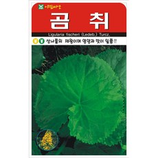 아람종묘 곰취 씨앗 100립, 5개