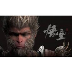 STEAM 黑神話 悟空 主機 I5 / 32G RAM / 1TB M.2 / RTX4060TI, 勿下