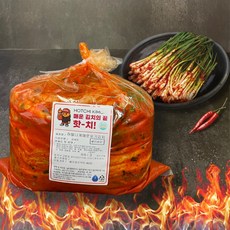 핫치 더 매운 파김치 실비김치 불김치, 1개, 1kg