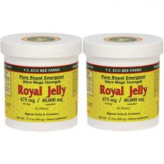와이.S. 에코 비 팜스 2개 묶음 로열 제리 꿀에 함유 675mg 1.3파운드 595g YS Royal J