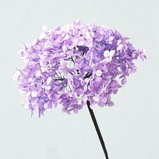 繡球幹花永生花仿真花套裝組閤裝飾，客廳臥室乾燥花擺設，真花鮮花質感，持久美麗, 2支淺紫繡球（花杆長55厘米）