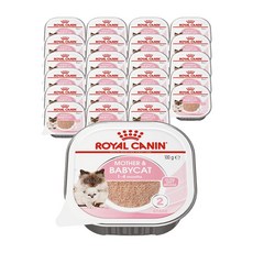 로얄캐닌 마더 앤 베이비캣 트레이 습식 주식캔, 닭+오리, 100g, 24개