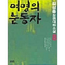 여명의 눈동자 8