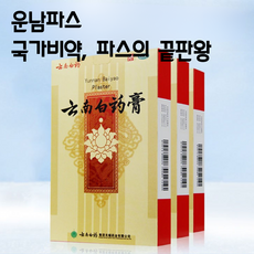 운남백약 운남파스 중국전통 국가비방 독점성분 혈액순환 부종 통증완화, 2박스, 5개입