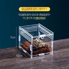 딱정 장수풍뎅이 사슴벌레사육장 벌레 사육통 사육장, 1개, 미니 파충류 조립 1 10x8x7cm