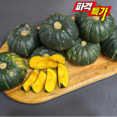 [초특가할인]산지직송 제주 미니 밤호박 보우짱, 1박스, 1kg (실중량1kg)