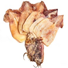 탈피반건조오징어 5마리 B품 (약 450g) 100% 국내산 [대]사이즈 껍질벗겨 더 부드러워요 피데기 반건조오징어, 1개, 450g
