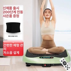 진동 운동기 120단계 200단계 홈트 운동기구 안전한, 프리미엄 그린 땀벨트 6코어 200단계, 기본 모델명/품번