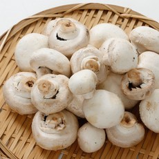 경산 하양 양송이버섯 보통등급 당일수확, 1개, 2kg