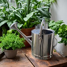 304不銹鋼灑水壺家用長嘴澆花噴壺5L大容量, 304不銹鋼灑水壺（粗把）10升, 1個