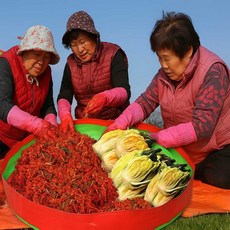 사계절 김장매트 다용도매트 김장용품 sta+366iS