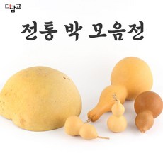 더담고 전통 박 모음 옵션선택 lI 깨는 박바가지 소형 대형 조롱박 표주박 함바가지 개업 새해 신년 결혼 액막이, 4.전통 통조롱박 특대, 4. 특대