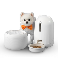 페키움 풀패키지 고양이 강아지 정수기 자동 급식기 음수대, 1세트, 페키움 풀패키지 단품