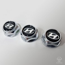 현대모비스 정품 번호판 볼트 넘버판 플레이트, 3개