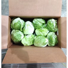 Green one 양상추 샐러드용 5kg(종이박스), 5kg, 1박스