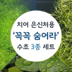 [수초대장] 치어 새우 은신처용 꼭꼭 숨어라 3in1 (소스컵3개) 세트수초