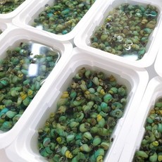 강원도 영월 자연산 깐 다슬기 육수 고디 올갱이, 1세트, 다슬기300g 2팩+다슬기육수700ml 2팩