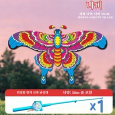낚싯대 핸들 미니 연 - 아이들도 쉽게 날리는 자동 날갯짓 나비 연 (공원 캠핑 완구), 나비 디자인