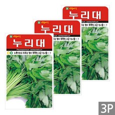 세인화분 누리대 20립 - 국산 누룩치 씨 씨앗, 3개