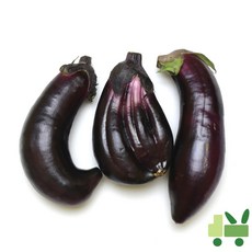 사라상회 가지 8Kg (보통), 1개