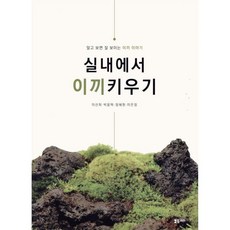 실내에서 이끼키우기