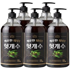 정성하루 헛개수 원액 국산 헛개차 농축액, 5개, 1kg