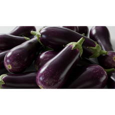 신선채소 부드러운 가지 가정용 못난이, 1세트, 가지 1kg