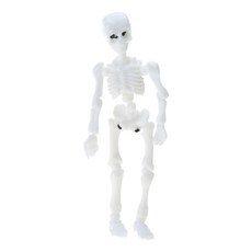 움직일 수있는 Mr. Bones Skeleton Human Model Skull 전신 미니 피겨 장난감 할로윈