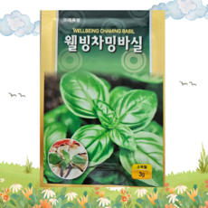 웰빙차밍바실 3g, 1개