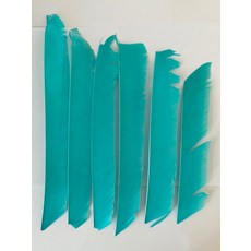 18-25CM 양궁 Fletching 화살 깃털 여러 가지 빛깔의 전체 길이 컷 없음 진짜 칠면조 DIY 샤프트 50 개, 10 turquoise, 1개