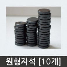 10개 14mm 수업용 학습교재 원형 자석 체험 교육 유도 도구 과학놀이 과학 초등과학 자력선 만들기 기자재