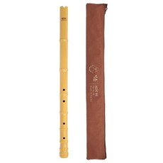 단소 YD-PL70(면케이스) gis+203Ww