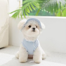 소형견 봄여름 얇은 통기성 애견 자외선차단 반려견 쿨링 재킷, XS(추천체중 0.5-1.5kg내), 블루, 1개