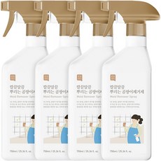 3+1 쉼표365 뿌리는 곰팡이제거제 750ml 대용량 베란다 벽 화장실 욕실 실리콘 벽지, 4개