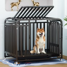 狗籠子大型犬狗籠小型犬帶廁所分離寵物籠子室內家用全方管中型犬, 1個, 收藏加購 贈送一個項圈,54*38*51(5斤以內)