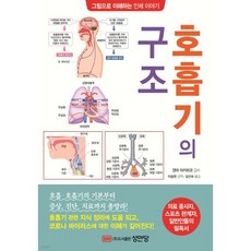 호흡기의 구조