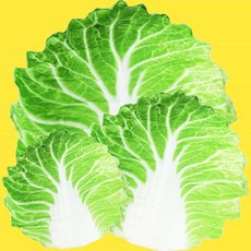 배추모양 포근한 담요 캠핑블랭킷 무릎담요 캠핑용품 쇼파담요