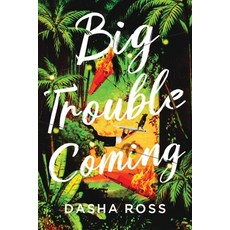 (영문도서) Big Trouble Coming: An accidental adventure of love and mayhem in Sri Lanka Paperback, Valentine Press, English, 9780987506351