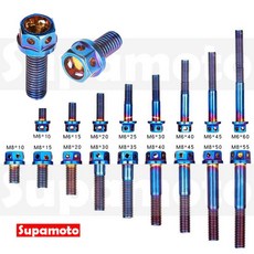 Supamoto M6 彩鈦螺絲：外六角燒鈦/鍍鈦螺絲，適用車牌/傳動蓋，內六角白鐵不鏽鋼螺絲, 1個, M6x10螺絲 (1支)