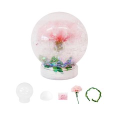 토단 카네이션 글리터 반짝이 워터볼 만들기 5인 세트, 빨강