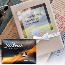 타이틀리스트 골프공 프로 Pro V1 3피스 골프볼 선물용 포장 TITLEIST 12구, 1개