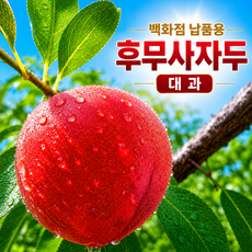 (백화점납품용) 산지직송 김천 고당도 후무사자두, 1박스, 3kg(대과)