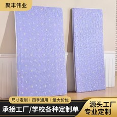 椰棕墊 學生出租房加厚定製床墊, 棕墊 3公分厚 0.9米寬 搭配購買可優,其他