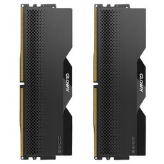 글로웨이 DDR5 용무 시리즈 마이크론 칩 히트싱크 메모리 블랙 6000MHz C38 16GB 2개입, 1세트, GW6000N16G-BMG 1세트, GW6000N16G-BMG