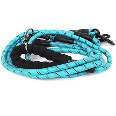 두줄 강아지 산책목줄 강아지리드줄 강아지끈