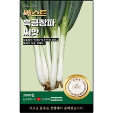베스트 흑금장 대파 씨앗 2000립 추위에 강하고 재배가 쉬운 대파씨 종자, 1개