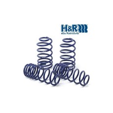 迪歐星車業 H&R短彈簧 全車系適用 降低車身 提升操控 運動化改裝, 1個