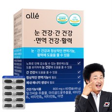 눈건강 간건강 면역건강 활력 눈간면활 루테인 밀크씨슬 알레 영양제, 1박스, 60정