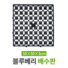 블루베리 과습의 필수품 배수판