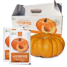 나애게 무안 늙은 호박즙 100ml, 30팩